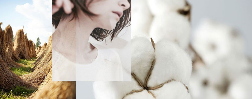 İçerikte Seçicilik