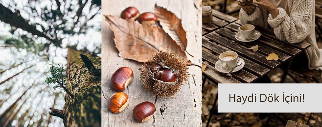 Haydi Dök İçini
